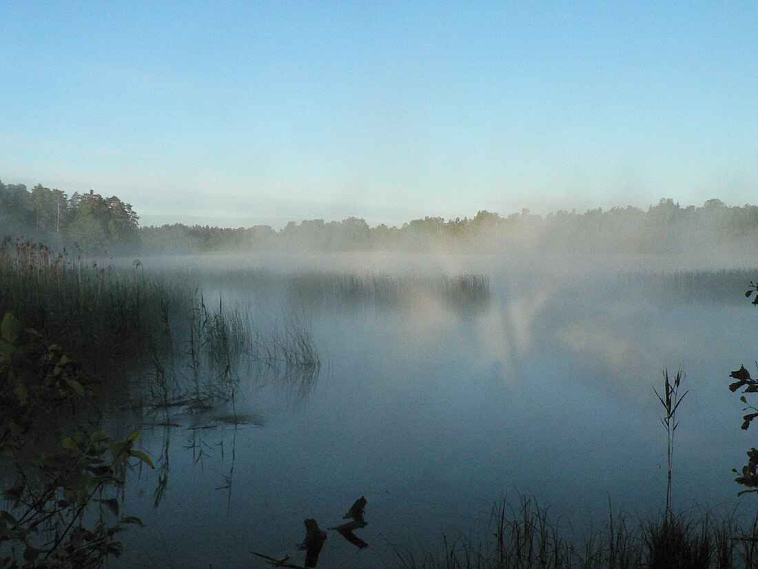 Suurjärv (lanaw sa Ida-Virumaa)