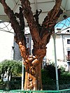 Copac sculptat
