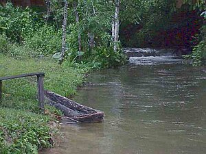 A small dugout canoe in the Lacandon village of Lacanja in 2001. LacanjaByPhilKonstantin.jpg