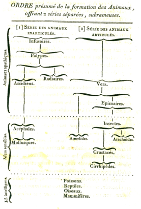 Ginearálta Tacsanomaíocht