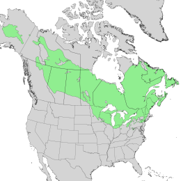 Larix laricina range map 2.png