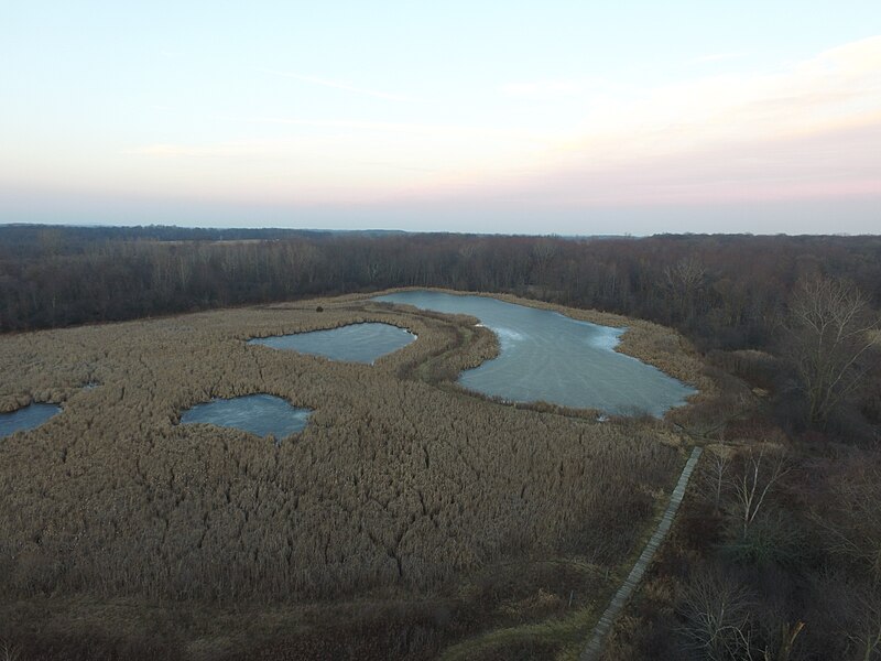 File:LeFurge Woods Nature Preserve - January 2017 (0189).jpg