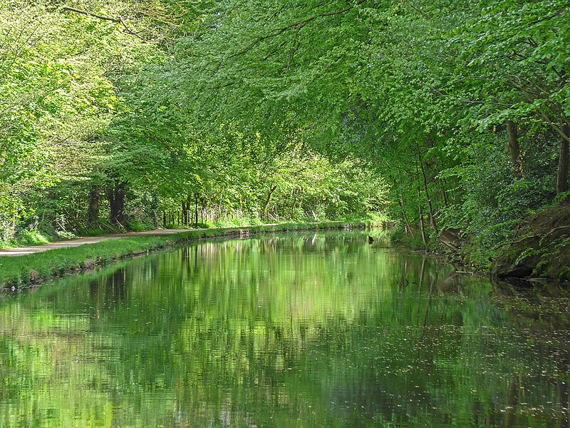 File:Leeds and Liverpool Canal (26981709206).jpg