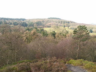 <span class="mw-page-title-main">Lickey Hills Country Park</span> Country park in northern Worcestershire, England.