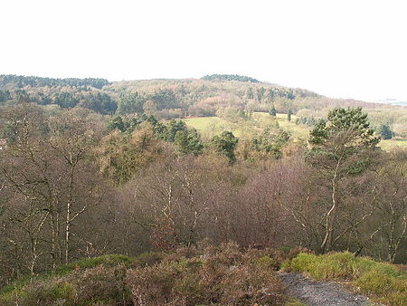 Lickey Hills