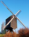 De Lindenmolen te Diest