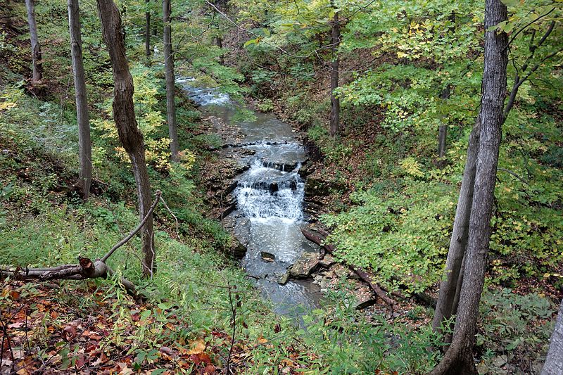 File:Little Davis Falls Red Hill Valley.JPG