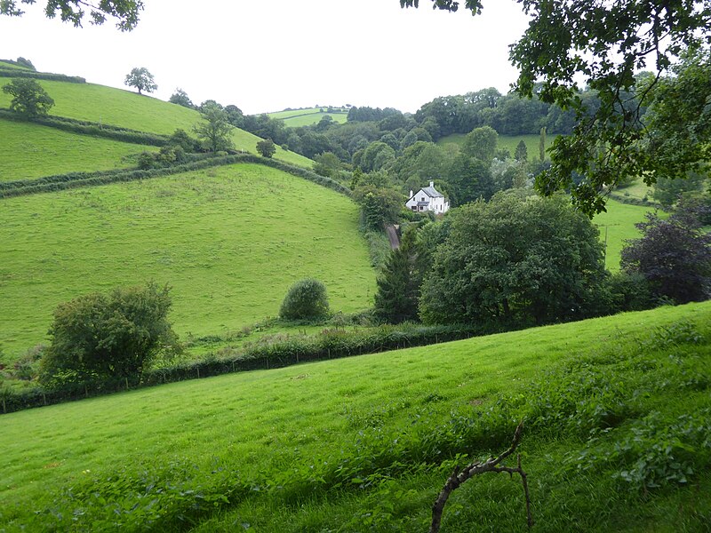 File:Little Silver - geograph.org.uk - 5503081.jpg