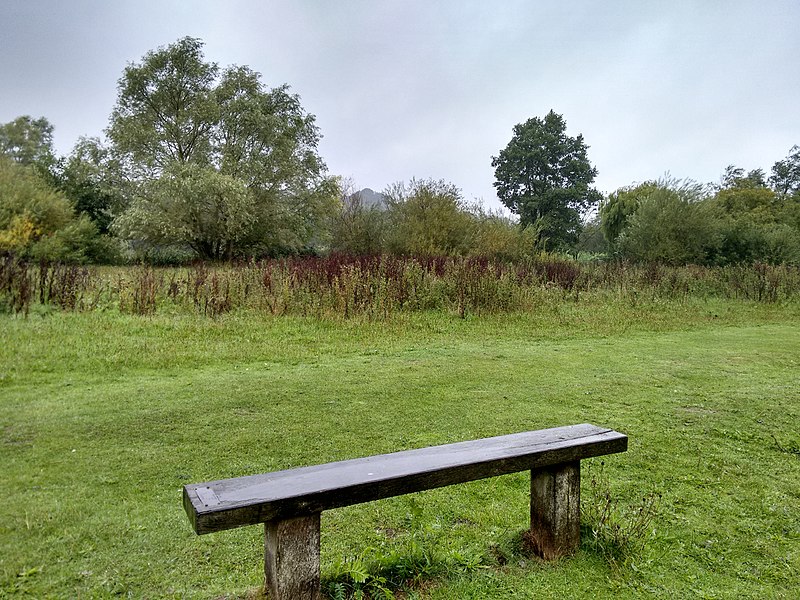File:Long shot of the bench (OpenBenches 8626-1).jpg