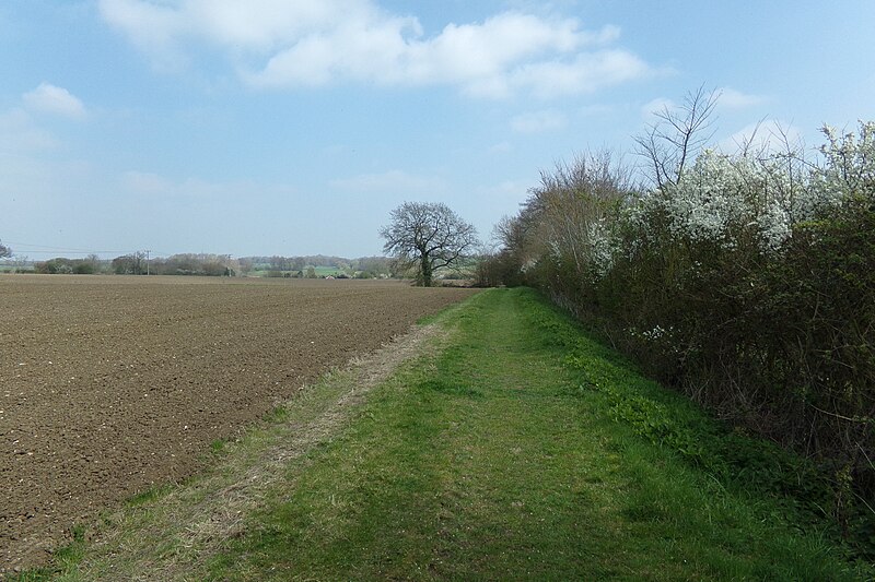 File:Lovers Lane Footpath to Pouys Street - geograph.org.uk - 5354115.jpg