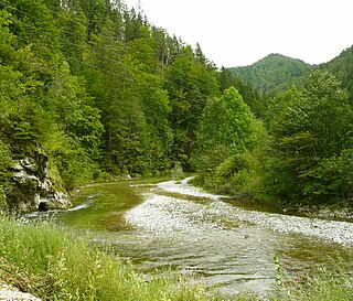 <span class="mw-page-title-main">Mürz</span> River in Styria, Austria