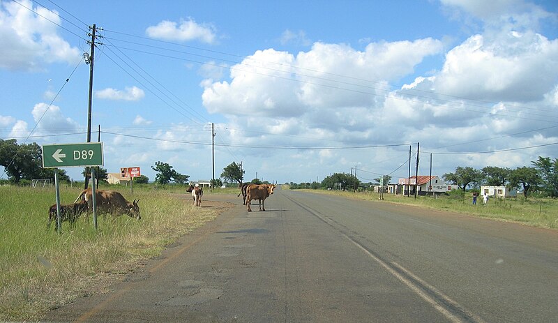 File:MR8 before Big Bend Swaziland.jpg