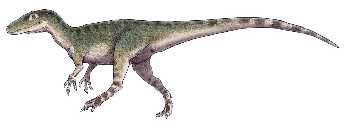 Category:Magnosaurus - Wikimedia Commons