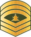 File:Maldives-Army-OR-9c.svg