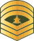 Maldives-Armée-OR-9c.svg