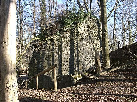 Mauerreste Schenkenburg Winterstetten