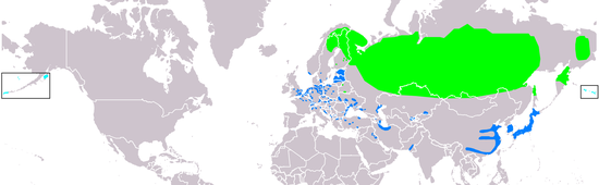 Черный дрозд ареал обитания