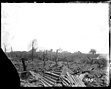 Schlachtfeld bei Messines (ca. 1917)