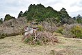 2020年2月8日 (土) 20:44時点における版のサムネイル