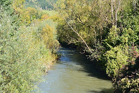 Metnitz bei Zwischenwässern (3)