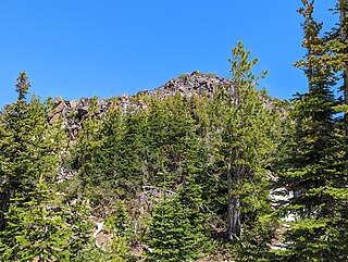 <span class="mw-page-title-main">Mineral Mountain (Mount Rainier National Park)</span> Mountain in Washington (state), United States