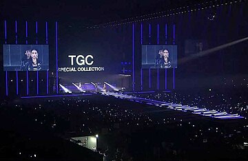 Mizuki Yamamoto in TGC 2014S／S.JPG