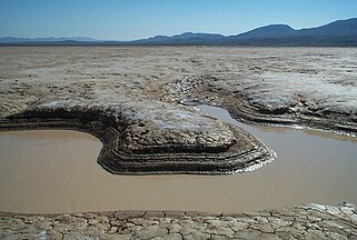 Water hole, Coyote Dry Lake