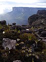 Mount Roraima, Venezuela (12371685033) .jpg