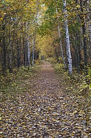 Природный парк Нымме-Мустамяэ