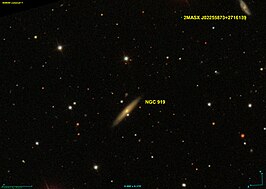 NGC 919