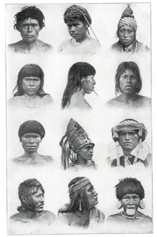 NSRW Natives of South America.png