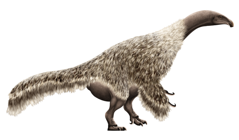 File:Nanshiungosaurus Restoration (flipped).png