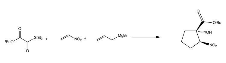 واکنش اتصال نیترواتیلن با یک وینیل Grignard و یک سیلیک گلیوکسالات