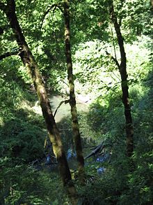 Ficheiro:Noble_Woods_Park_with_Rock_Creek.JPG