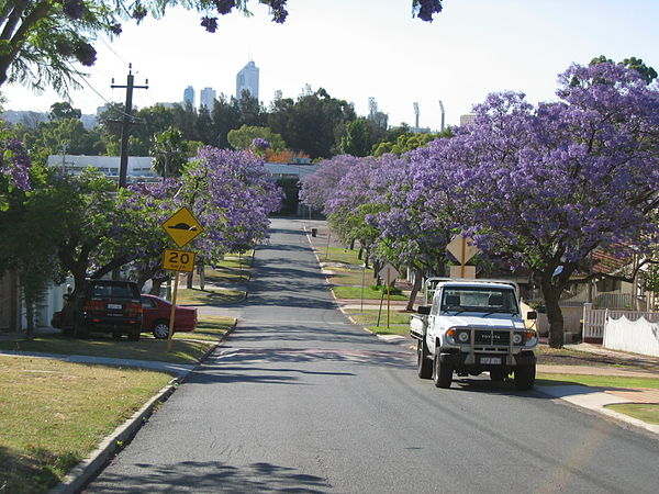 Jacaranda-lined Howick Street, with the CBD in background