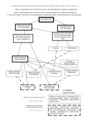 Tipos de asociaciones públicas por formas organizativas y jurídicas.  El régimen existente de organización y formas jurídicas de las asociaciones públicas.