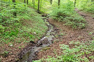 The Grütebach in the Grüte nature reserve