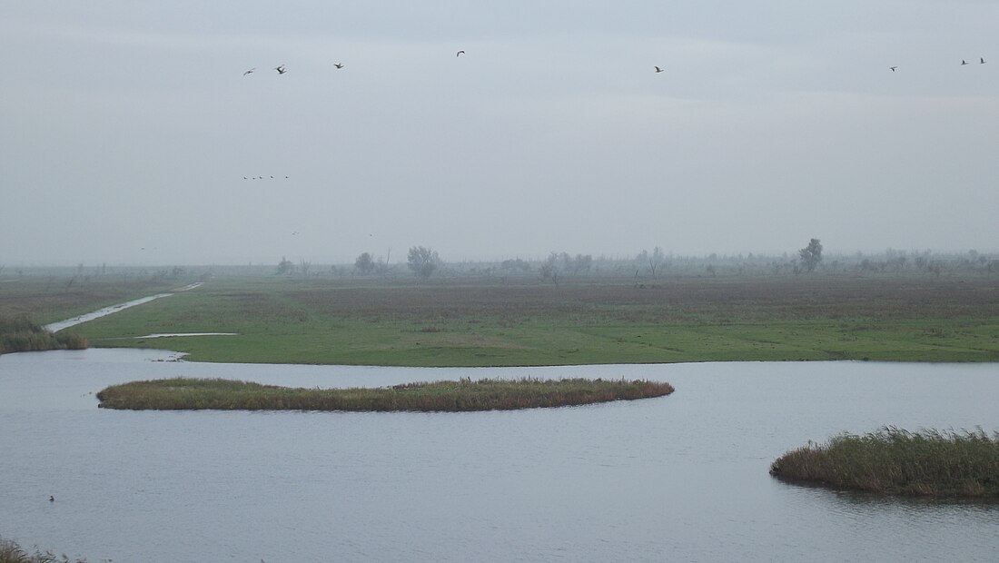 Oostvaardersplassen