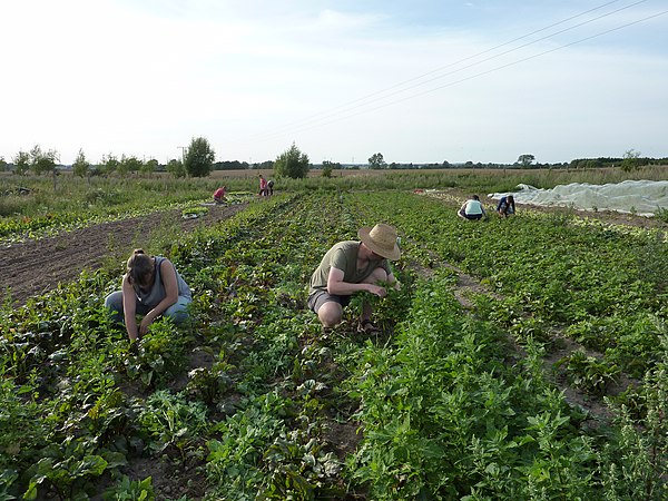 Organic farming methods to be used in response to 'From Farm to Fork' strategy
