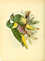 Ornithological miscellany (1876) (14748526205).jpg