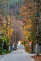 * Nomination Autumnal aesculus hippocastanum avenue on Elisabethstraße, Pörtschach, Carinthia, Austria -- Johann Jaritz 03:08, 9 December 2022 (UTC) * Promotion  Support Good quality. --XRay 04:32, 9 December 2022 (UTC)