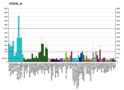 PBB GE CHMP2B 202536 bei fs.png