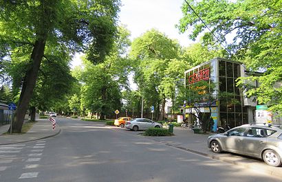 How to get to Podkowa Leśna with public transit - About the place