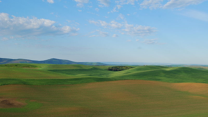 File:Palouse hills near Moscow.jpg