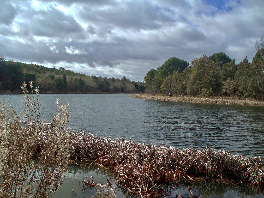 Río Bajoz