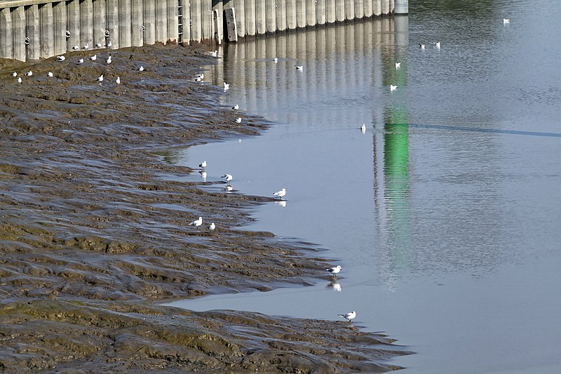 File:Papenburg - Seeschleuse - Seeschleuse 22 ies.jpg