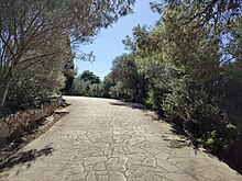 Viale interno del parco di Monte Rosmarino