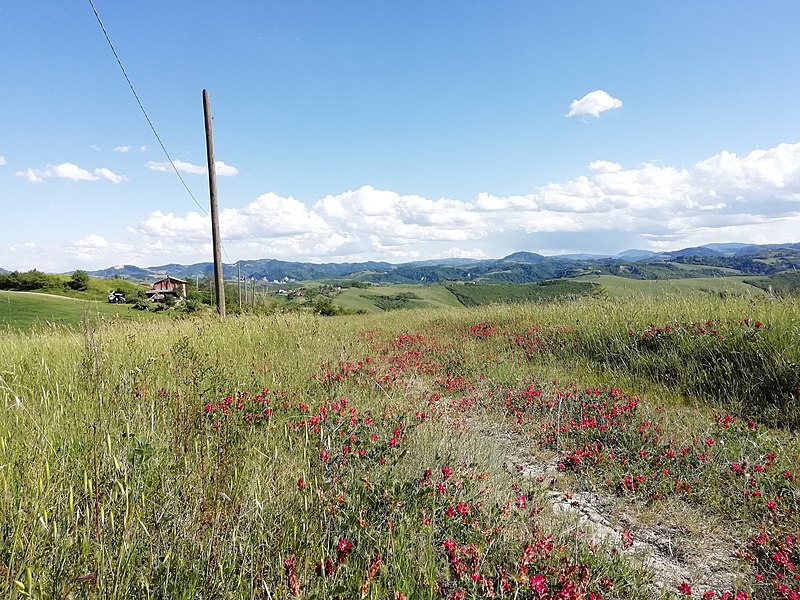 File:Passeggiata al Monte Calvo Pianoro 1.jpg