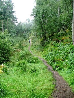 Path, Culag Wood - geograph.org.uk - 229359