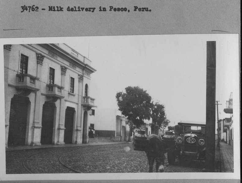 File:Peru - 34762 - Milk delivery on mule in Pisco.tif